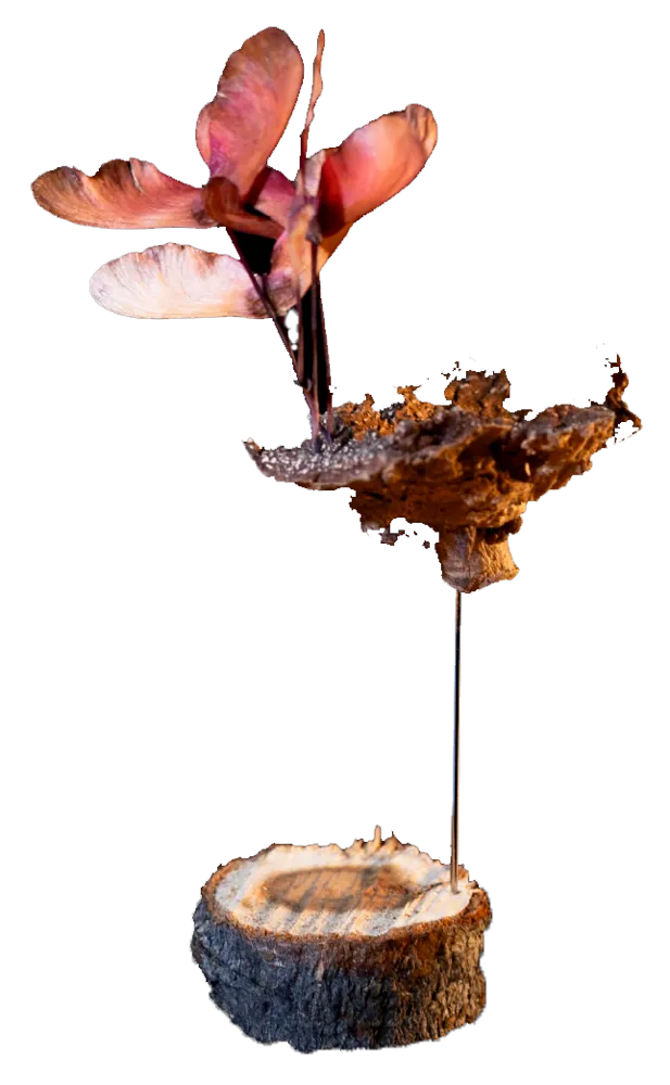 Untitled, view 2 of 2
