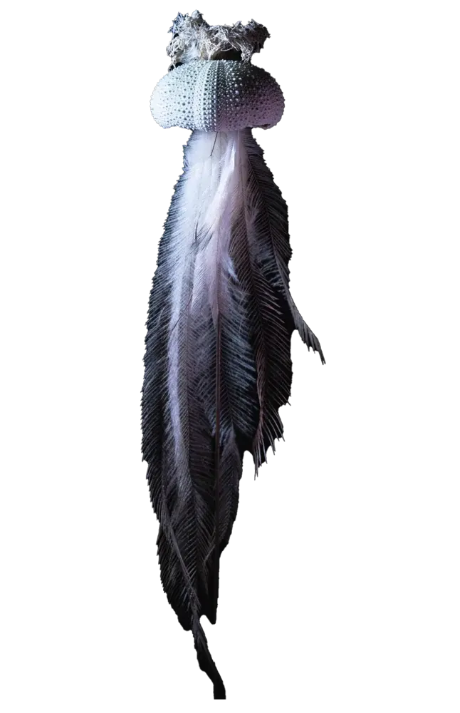 Etoile de Plumes, view 2 of 3