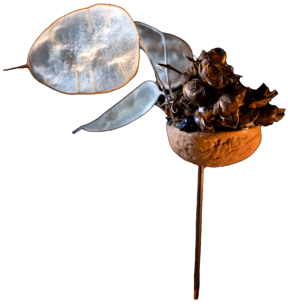Argos Navis, a walnut shell rigged with berries and lunaria