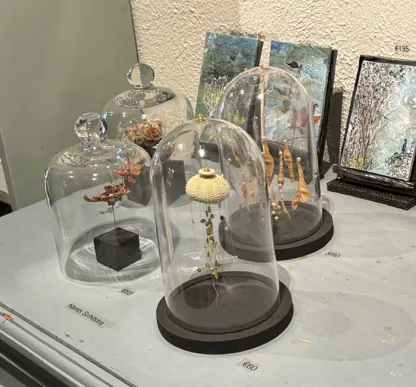 Three glass domes covering #fragiles pieces at Galerie Paterswolde